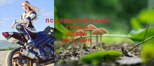 Альфа ПВП Аркадак
