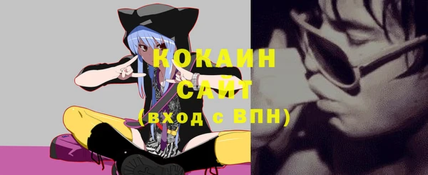 Альфа ПВП Аркадак