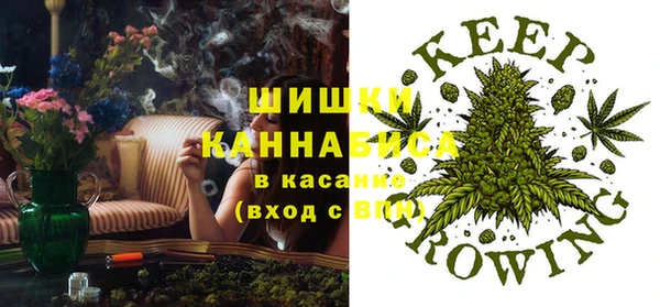 спиды Арсеньев