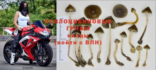 спиды Арсеньев