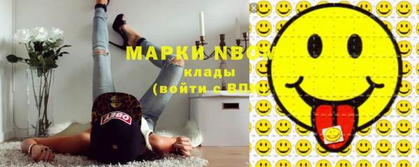 Альфа ПВП Аркадак