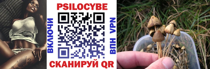 blacksprut вход  купить  цена  Нововоронеж  Псилоцибиновые грибы MAGIC MUSHROOMS 